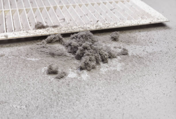 Best HVAC Air Duct Cleaning  in Ferrysburg, MI