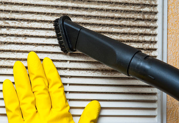 Best Air Duct Cleaning Company Near Me  in Ferrysburg, MI